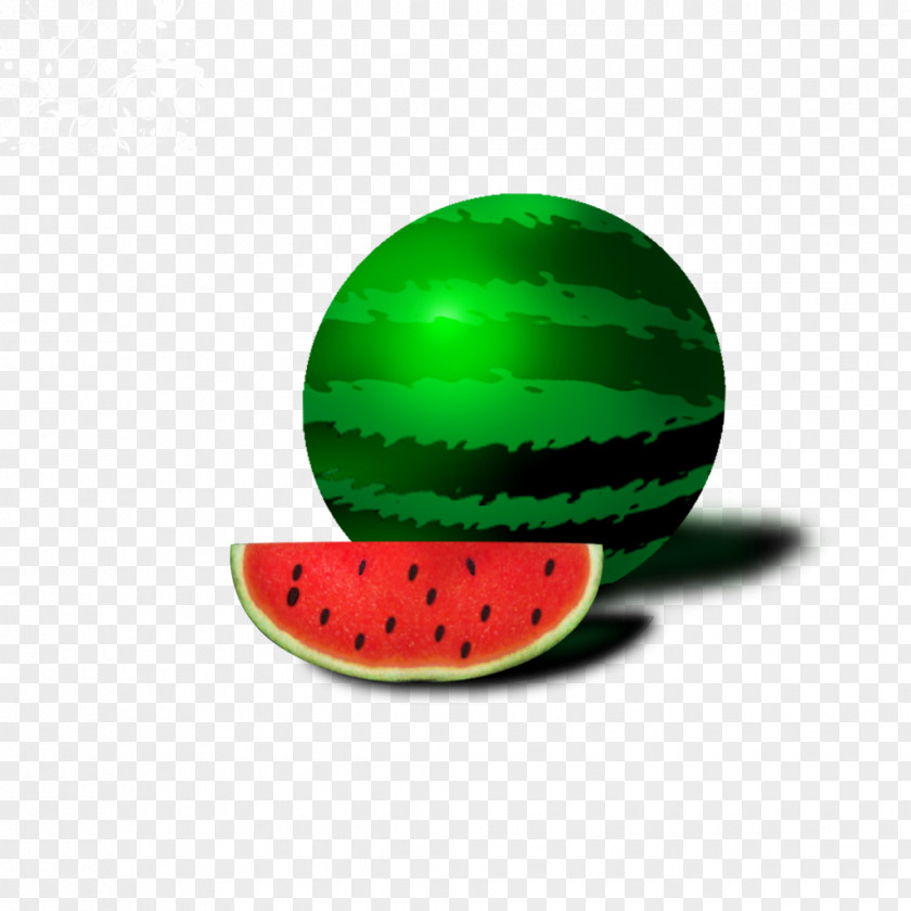 Fresh Watermelon Citrullus Lanatus Drawing PNG