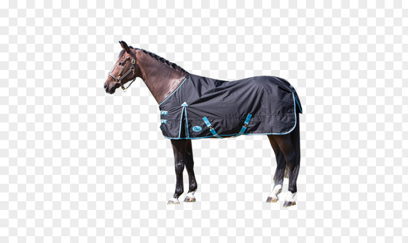 Horse Blanket Equestrian Gallop Horze PNG