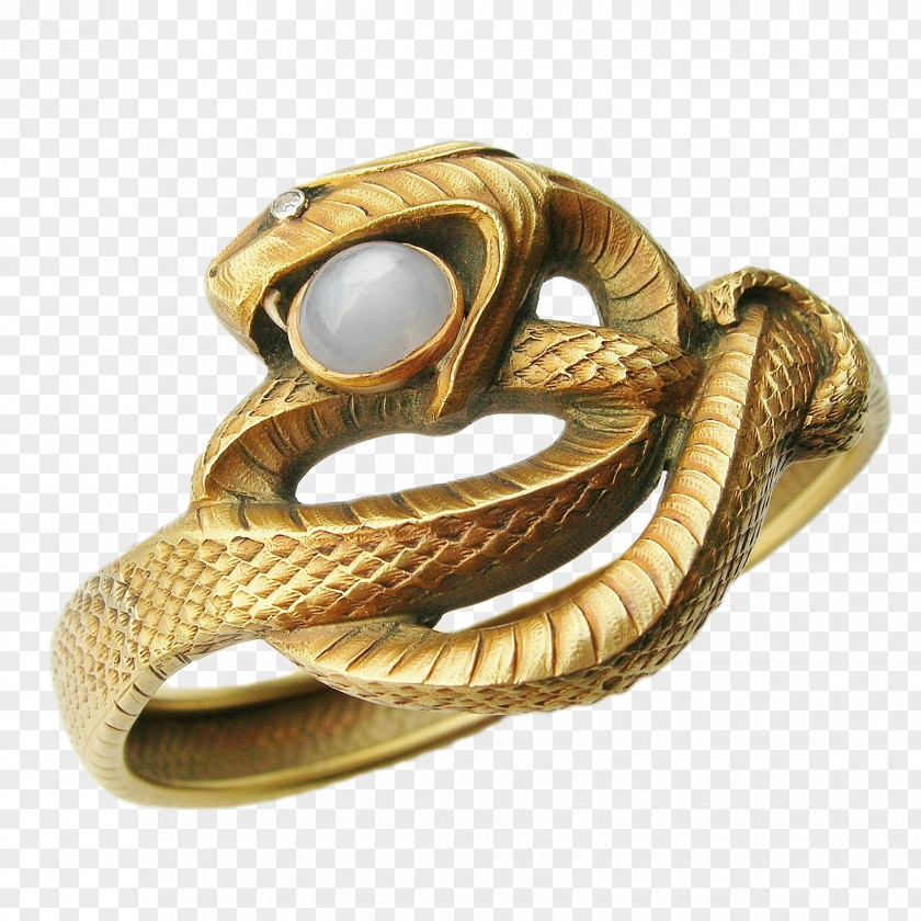 Silver Bangle Earring Bijou Jewellery PNG