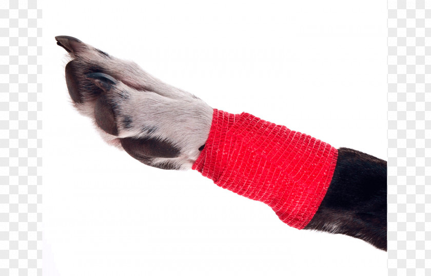 Dog Elastic Bandage Adhesive Athletic Taping Dressing PNG
