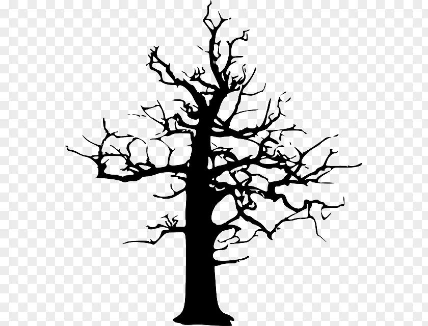 Foggy Forest Tree Drawing Clip Art PNG