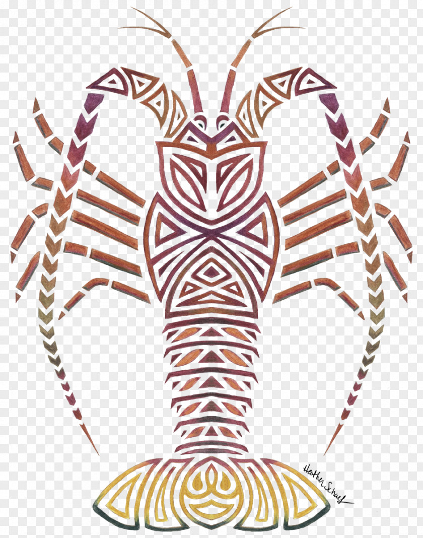 Lobster Drawing Palinurus Art PNG