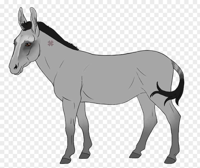Donkey Mule Stallion Mare Mane PNG