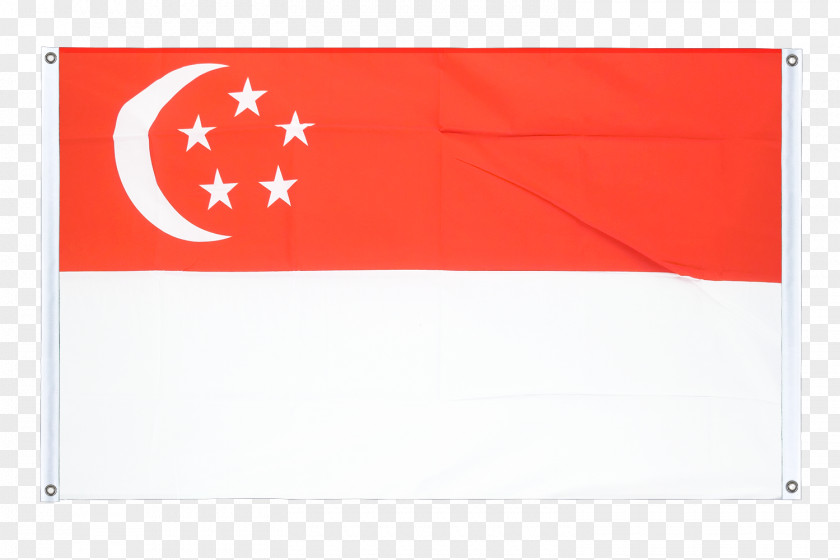 Flag Rectangle PNG