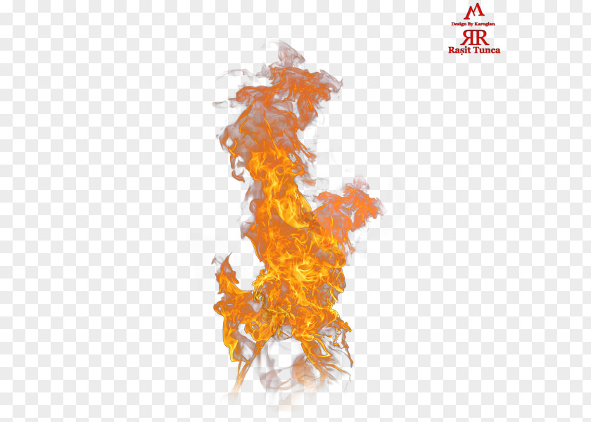 Flame Combustion Fire PNG
