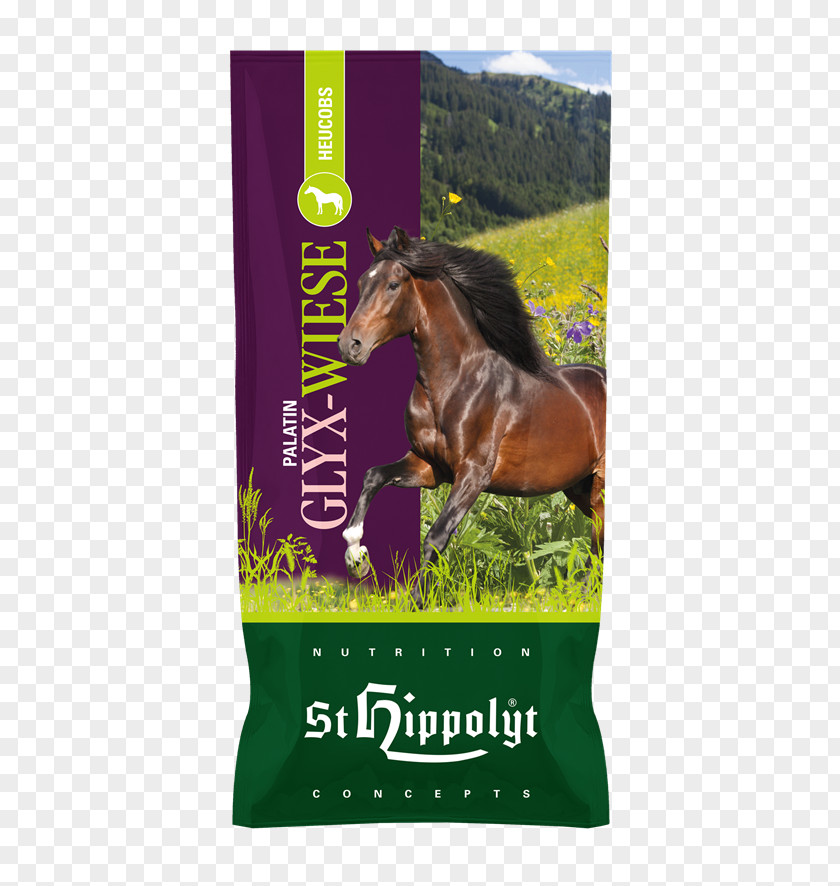 Horse Fodder Dietary Fiber St. Hippolytus Nutrition Concepts GmbH & Co. KG Equine PNG