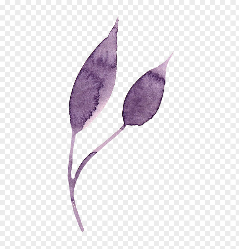 Leaves Purple Leaf Petal PNG