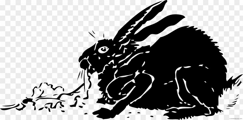 Natural Selection Black And White European Rabbit Vector Graphics Clip Art PNG