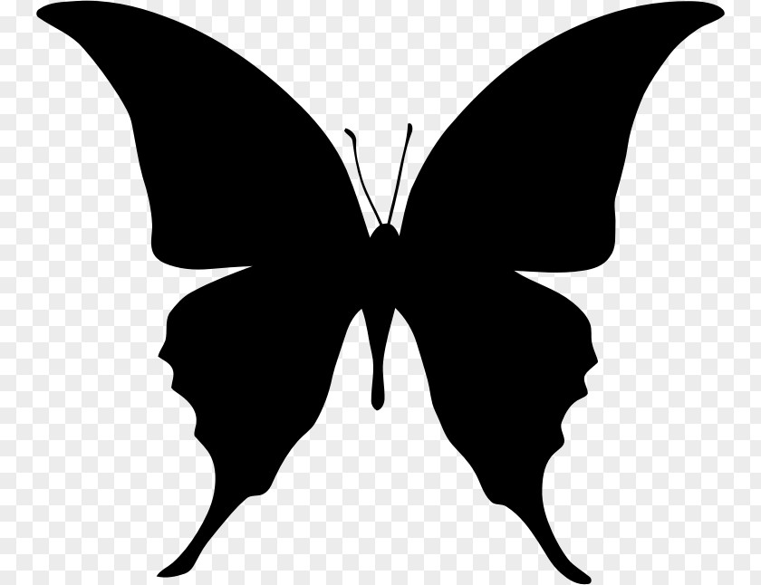 Silhouette Butterfly Clip Art PNG