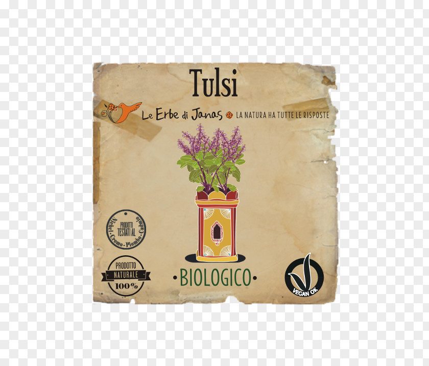 Tulsi Holy Basil Herb Skin Vegetable Oil PNG