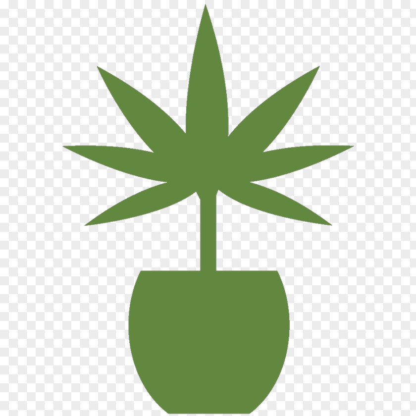 Cannabis Medical La Marijuana Medicine Clip Art PNG