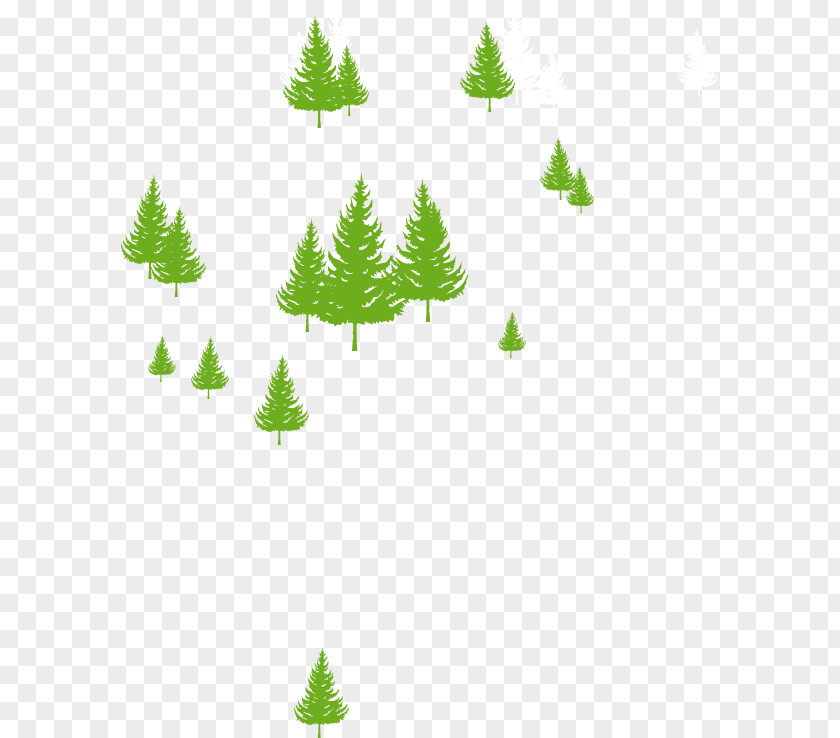 Christmas Tree Fir Ornament Spruce Pine PNG