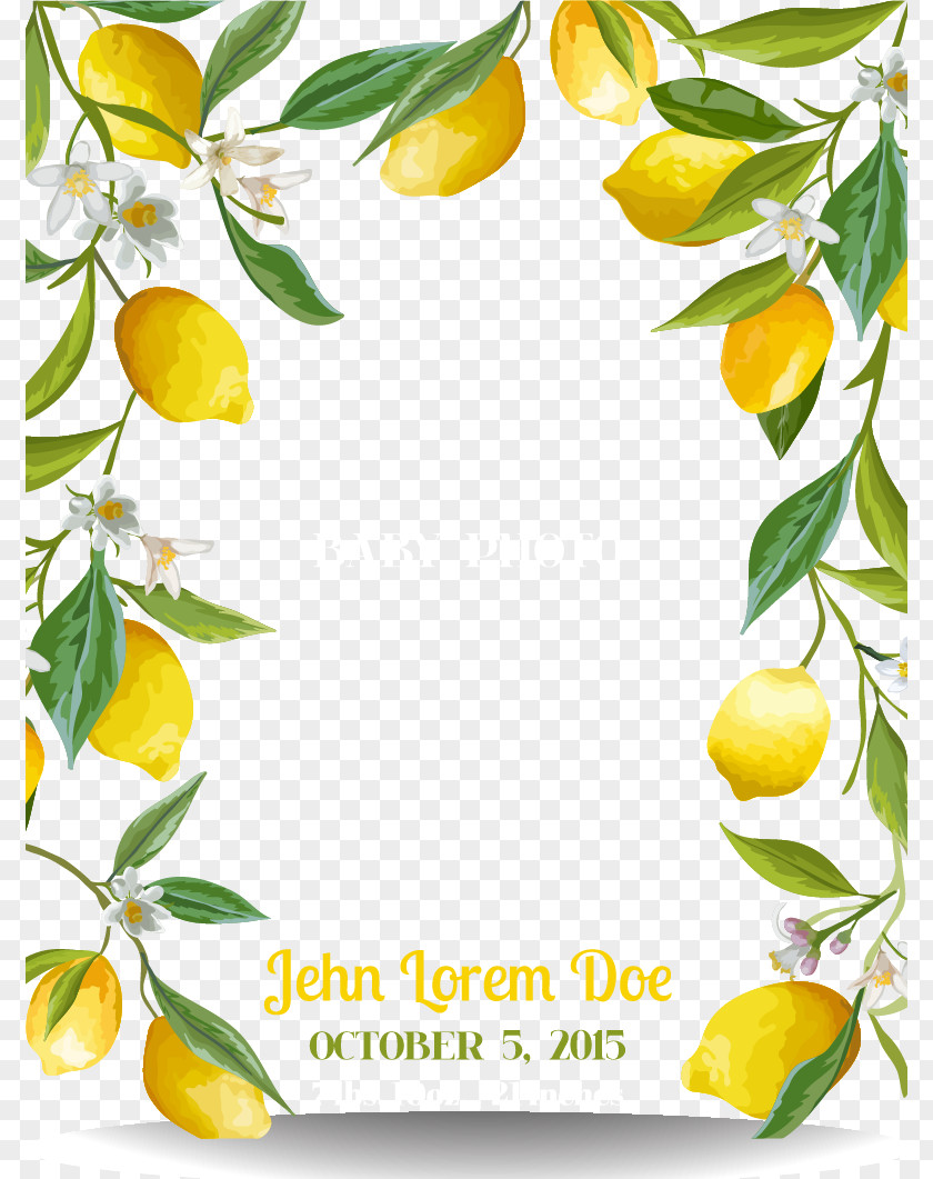 Fresh Lemon Border PNG
