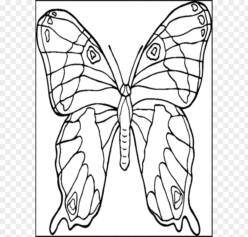 Gummy Bear Coloring Pages Butterfly Book Animals That Hibernate Child Adult PNG