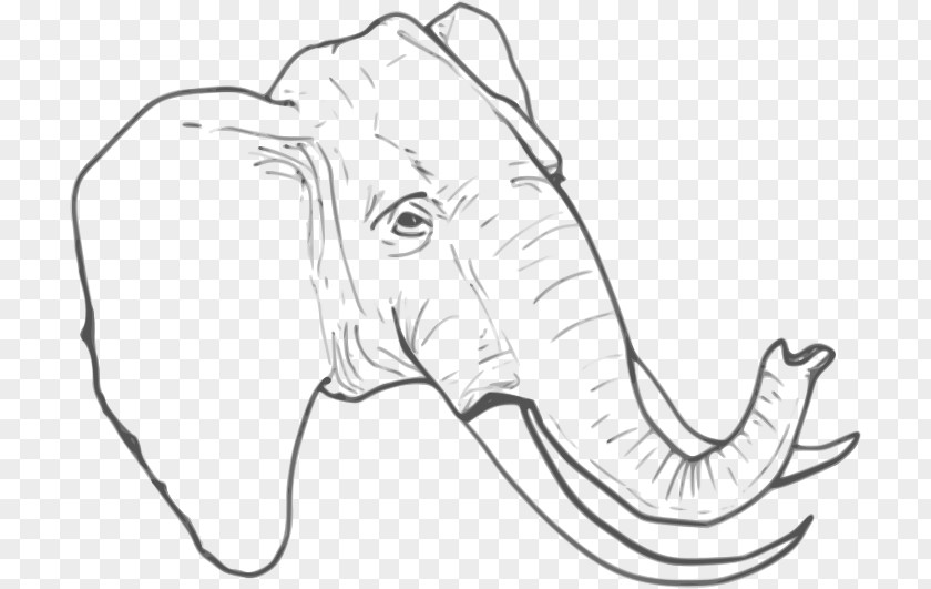 Line Art Elephant Drawing Clip PNG