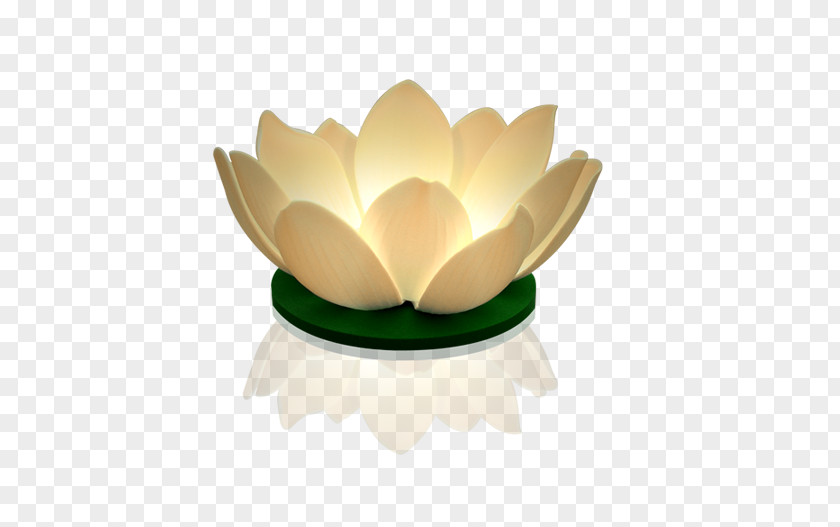 Lotus Lantern Lighting Sky Light-emitting Diode Parme PNG