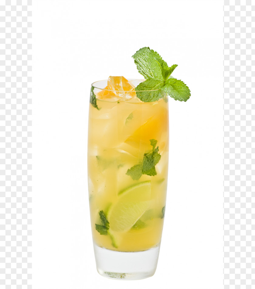 Mojito Cocktail Garnish Aguas Frescas Mai Tai Mint Julep PNG