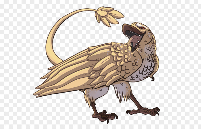 Bird Of Prey Beak Feather PNG