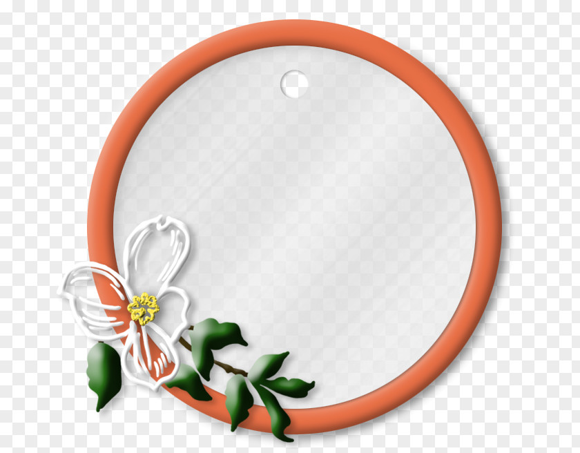 手绘花卉 Circle PNG