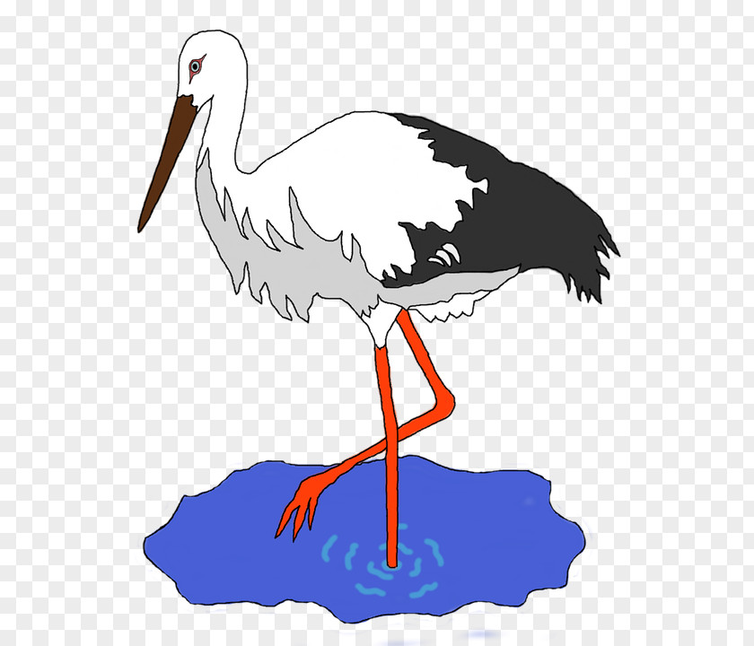 Crane Heron White Stork Bird PNG
