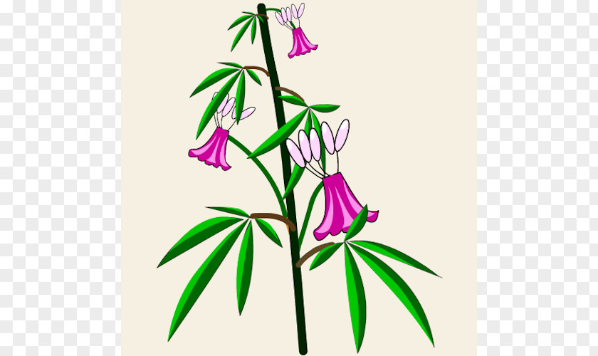 Hemp Dofus Cannabis Sativa Flower Cannabidiol PNG