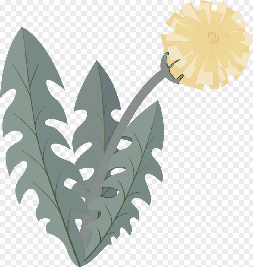 Leaf Flower Plant Tree PNG