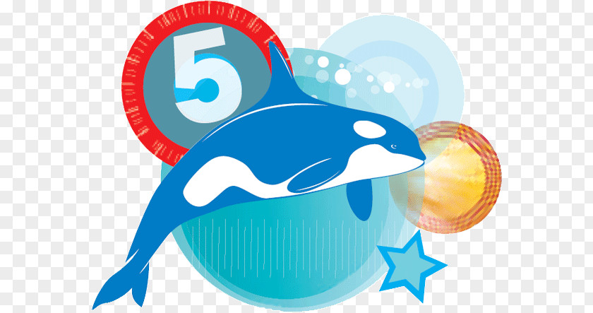 Swimming Goldfish Lessons Long-distance Award Meter PNG