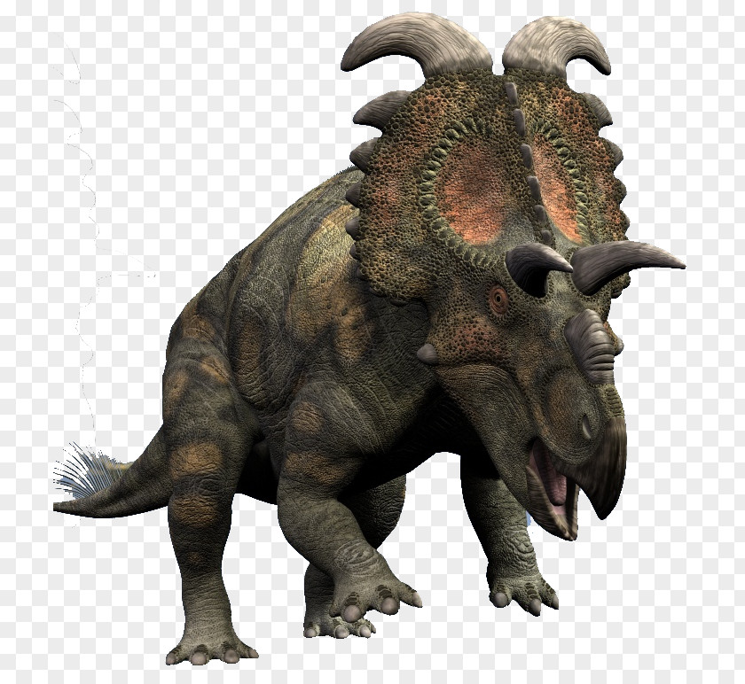 Pentaceratops Albertaceratops Anchiceratops Tyrannosaurus Ceratopsia PNG