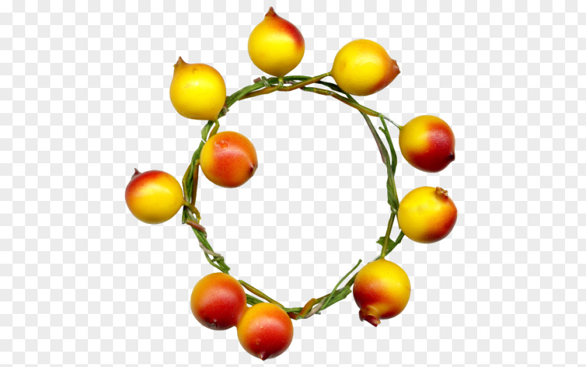 Tomato LOFTER LiveInternet Flower PNG