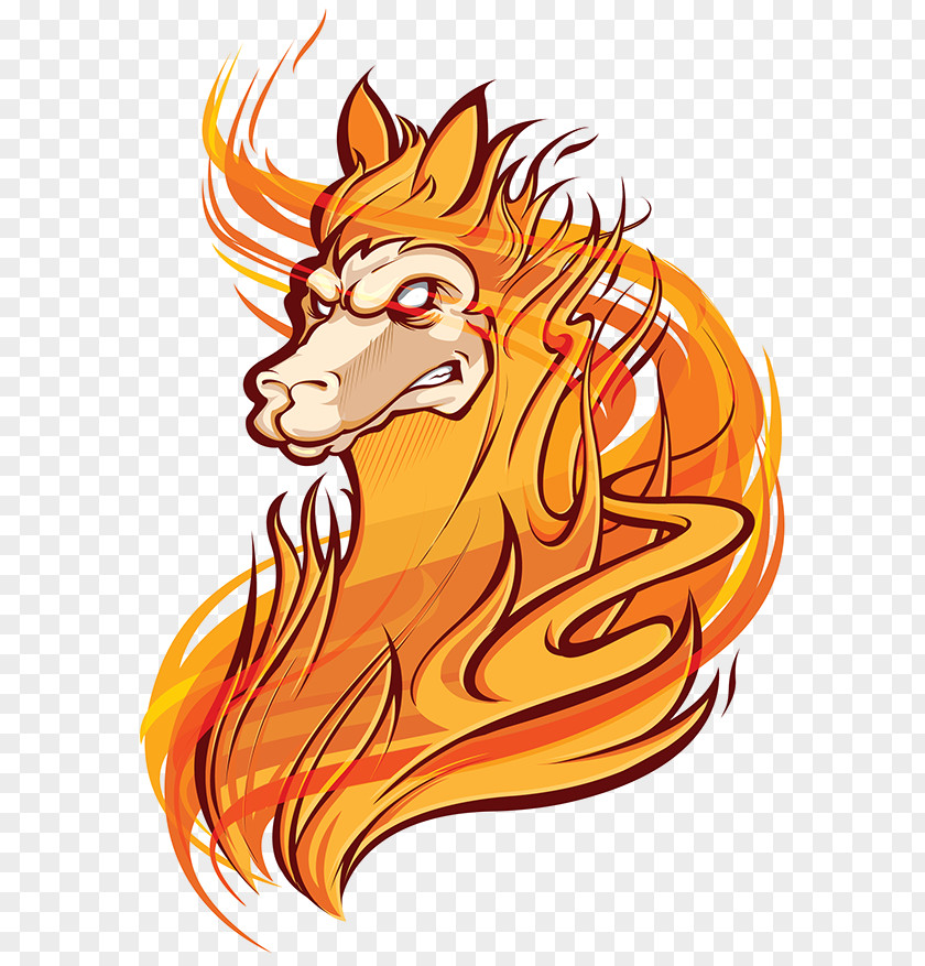 Design Llama Logo Behance PNG