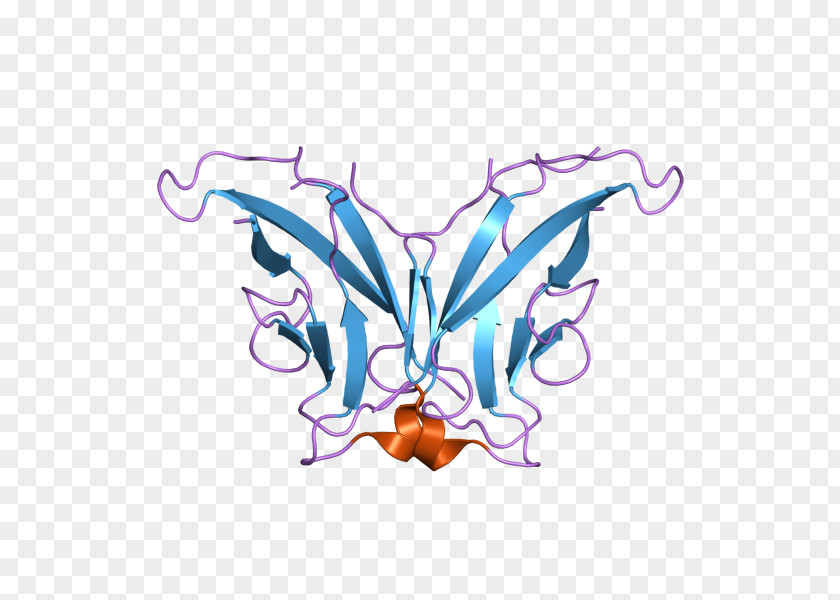 Butterfly Clip Art Illustration Logo Desktop Wallpaper PNG
