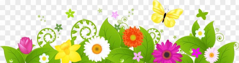 Bande Stock Photography Flower Royalty-free Clip Art PNG