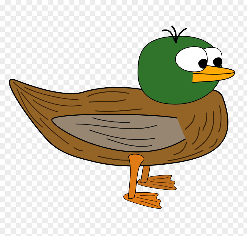 Duck Daffy Mallard Vector Graphics Clip Art PNG