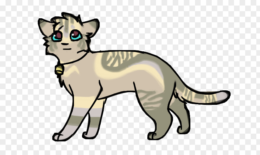 Kitten Whiskers Wildcat Lion PNG