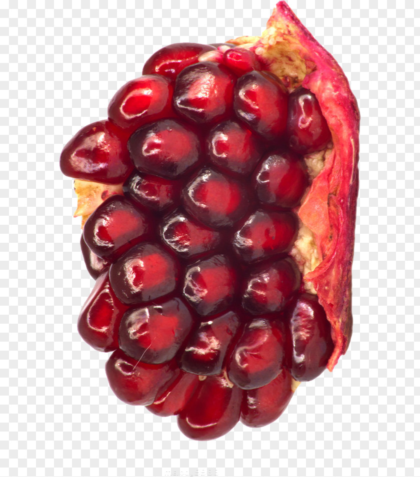 Pomegranate Berry Fruit Clip Art PNG