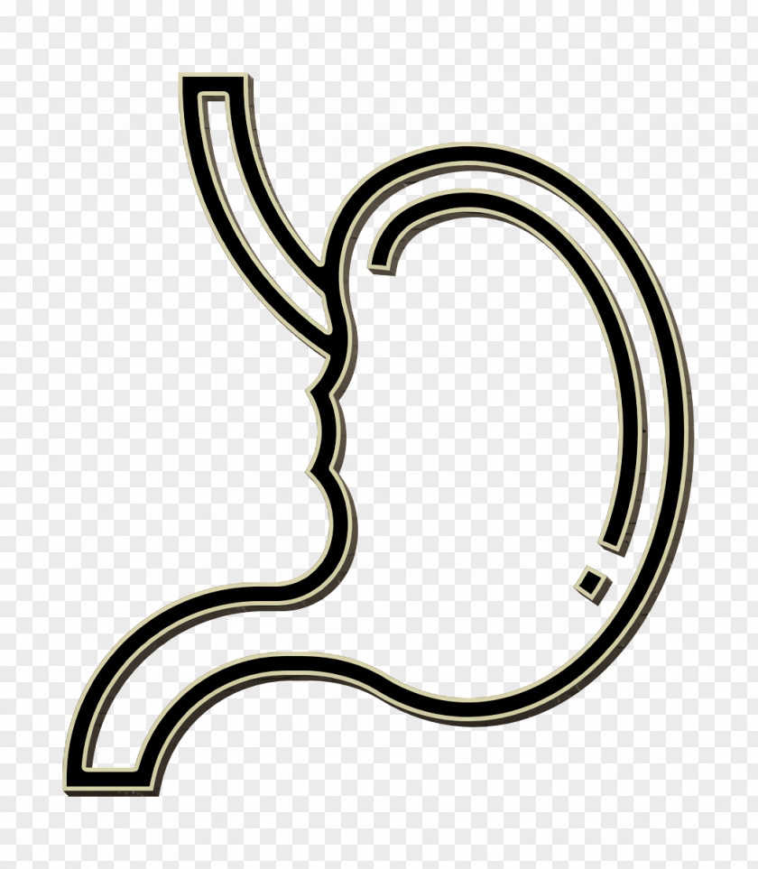 Symbol Stomach Icon Abdomen Digestion Gaster PNG