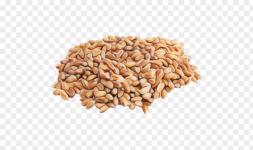 Wheatberry Food Grain Ingredient Plant Grass Family Cuisine PNG