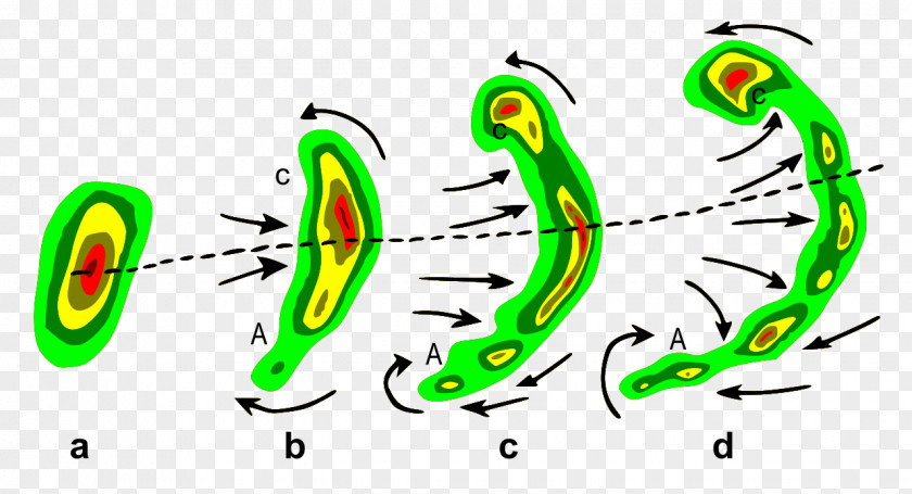 Wind Bow Echo Thunderstorm Meteorology Squall PNG