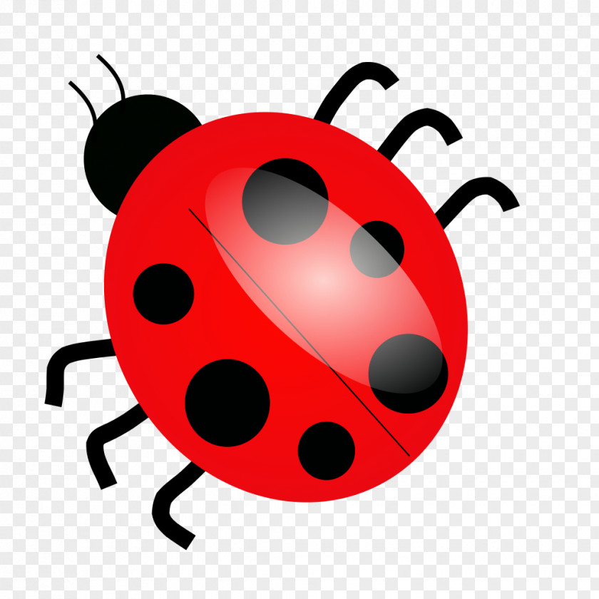 Bugs Beetle Ladybird Clip Art PNG