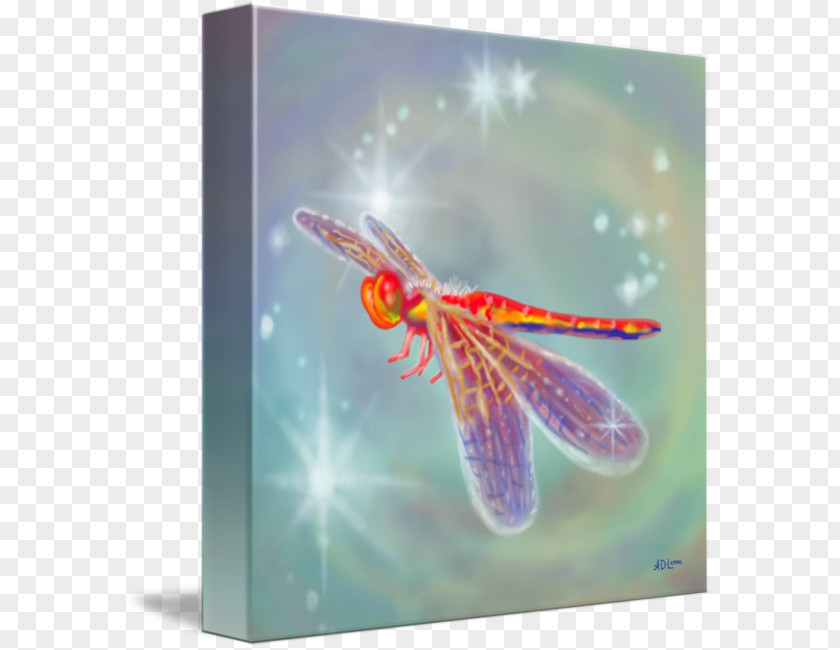 Dragon Fly Dragonfly Insect Digital Art PNG
