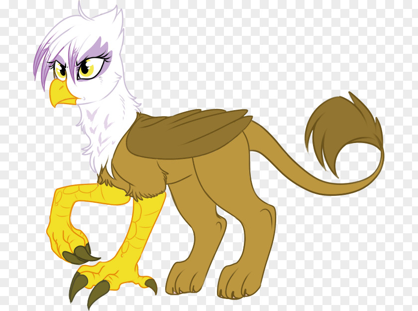 Griffin My Little Pony Rainbow Dash PNG