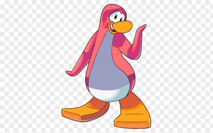 Animation Beak Penguin PNG