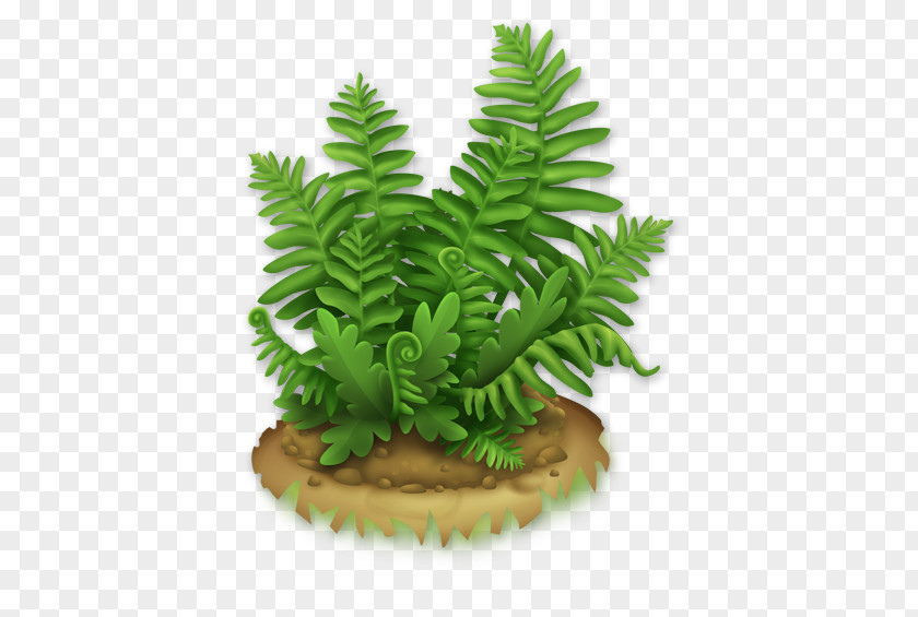 Fern Hay Day Wikia PNG