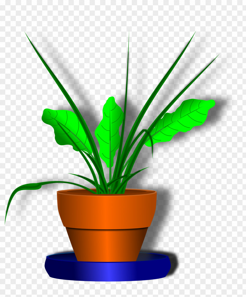 Flowerpot Desktop Wallpaper Plant Flower Clip Art PNG