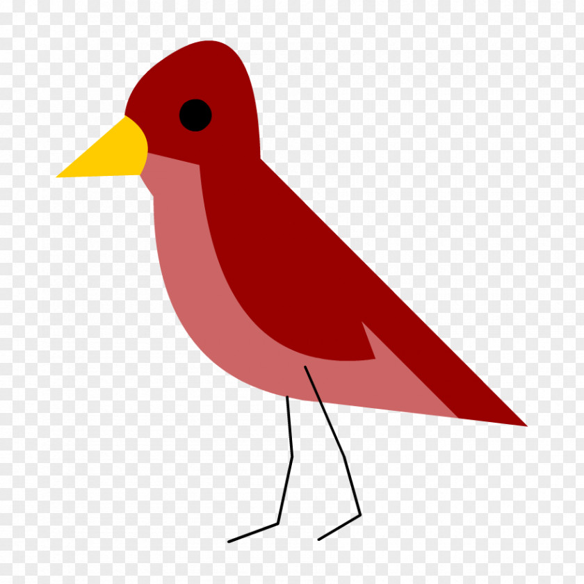 Life Sciences Bird European Robin Science Clip Art Scientist PNG