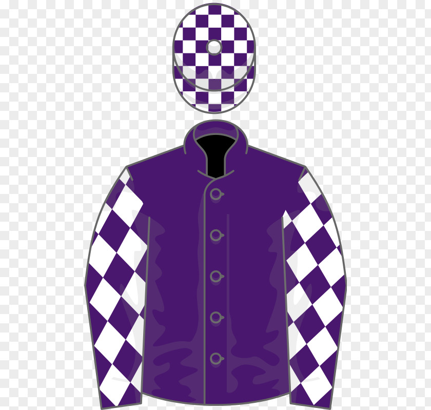 Pisco Sour Epsom Oaks Thoroughbred Derby Scintillate Blue Wind PNG