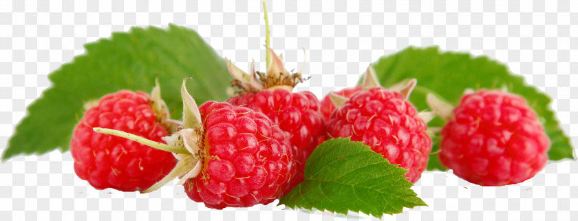 Raspberry Fruit Food Loganberry PNG
