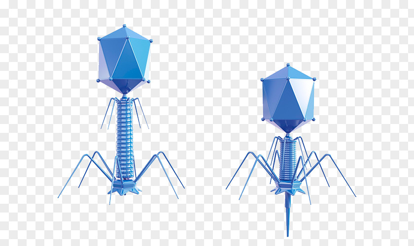 Biological Technology Bacteriophage Biotechnology Biology PNG