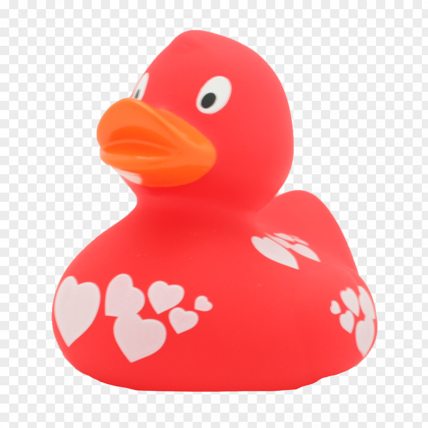 Duck Rubber Natural Domestic Toy PNG
