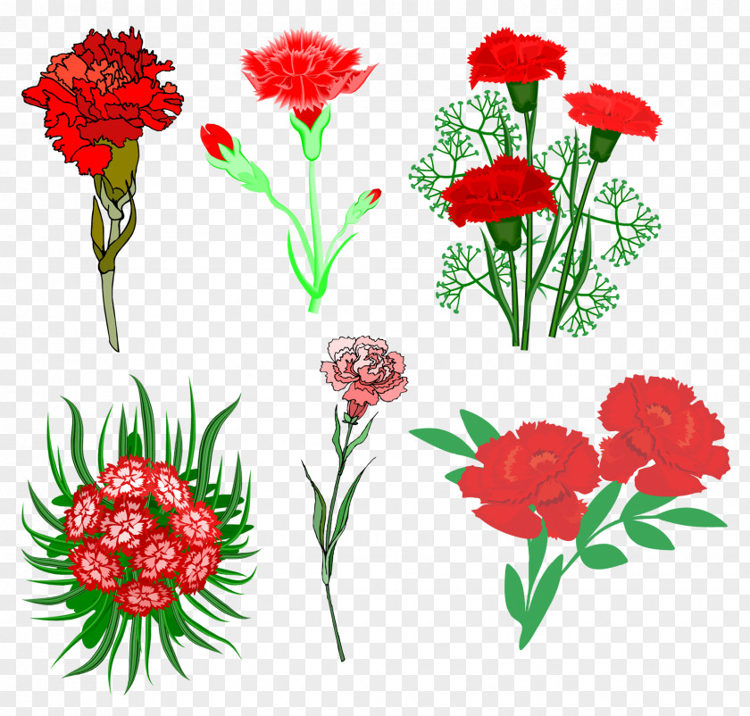 Flower Polka Hall Of Fame Cut Flowers Carnation Clip Art PNG